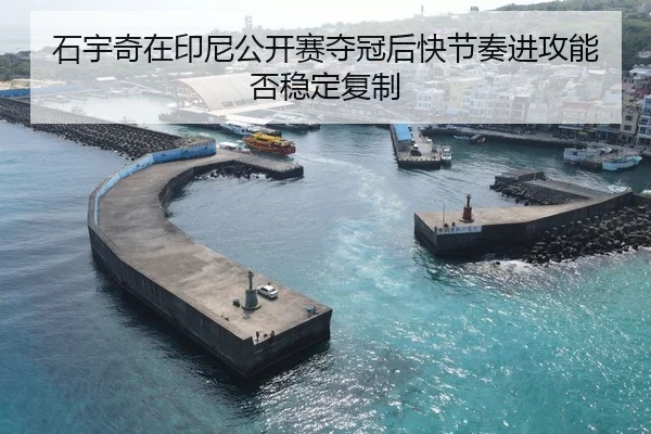 石宇奇在印尼公开赛夺冠后快节奏进攻能否稳定复制