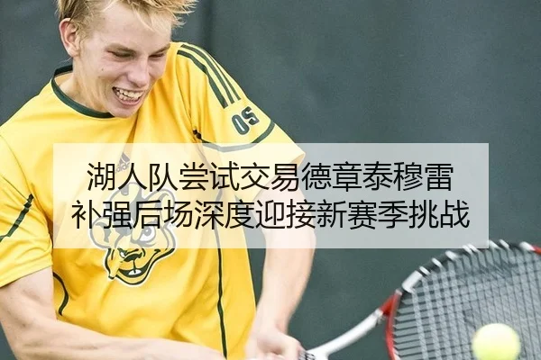 湖人队尝试交易德章泰穆雷 补强后场深度迎接新赛季挑战